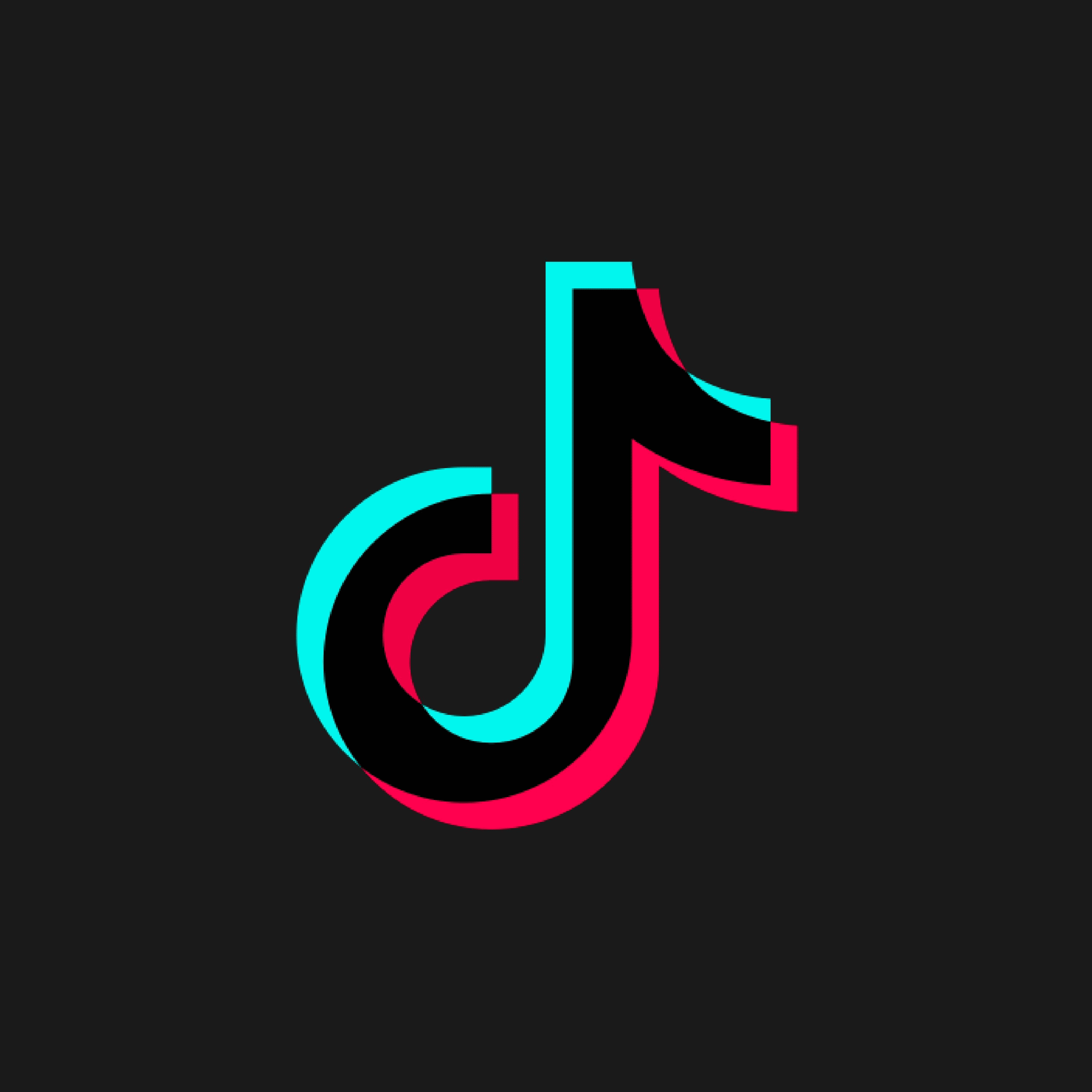 TikTok App Icon