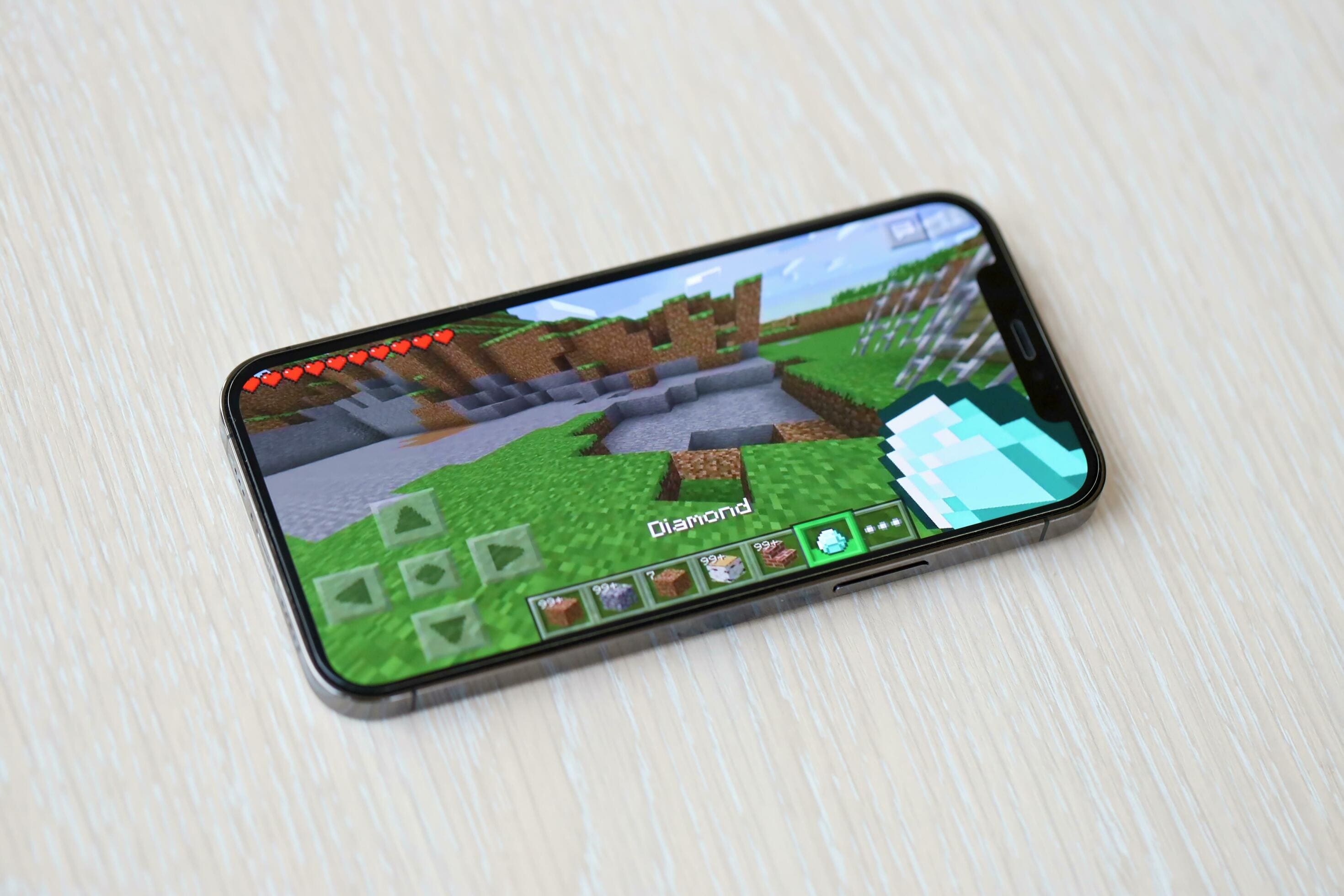 Minecraft Multiplayer Screenshot 5